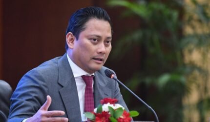 Wakil Menteri Keuangan