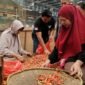<p>Pramono Pastikan Lonjakan Harga Cabai tak Ganggu Inflasi</p>
